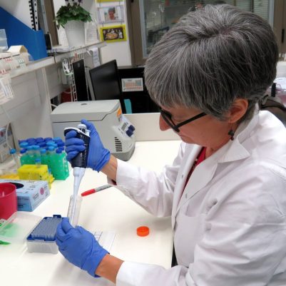 Using a multipipette to set up an real-time PCR experiment