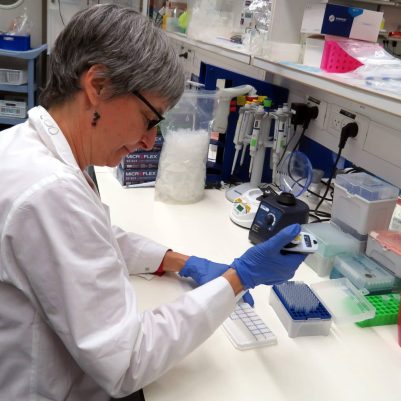 Using a multipipette to set up an real-time PCR experiment