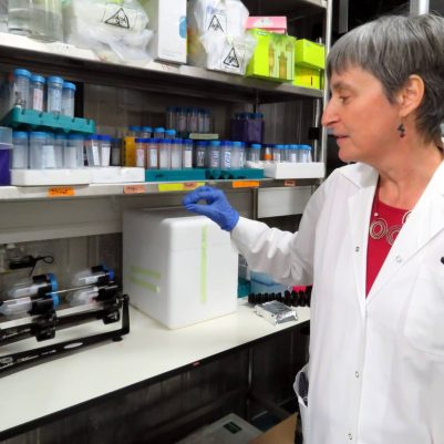 Putting tubes containing membrane and antibody solution to incubate overnight at 4℃ - for identification of proteins (Western blot).