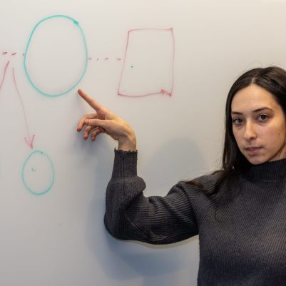 Woman pointing to drawing on whiteboard 1
