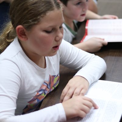 Young Girl Studying and Reading at a Desk with Classmate in Background